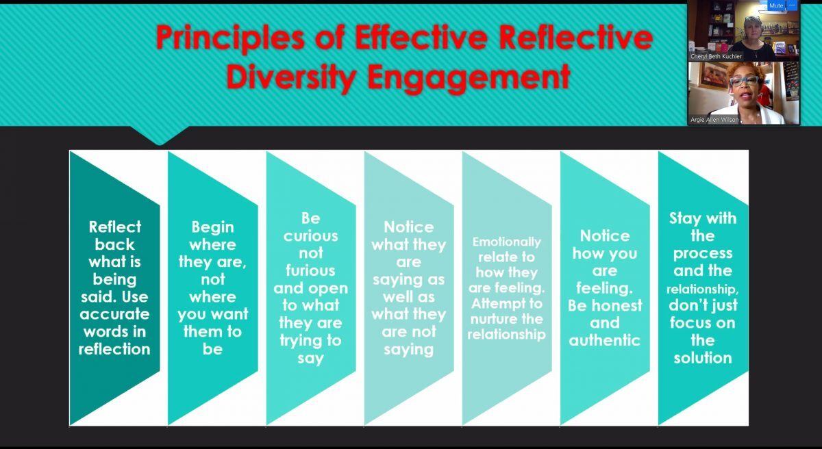 Principles of Effective Reflective Diversity Engagement